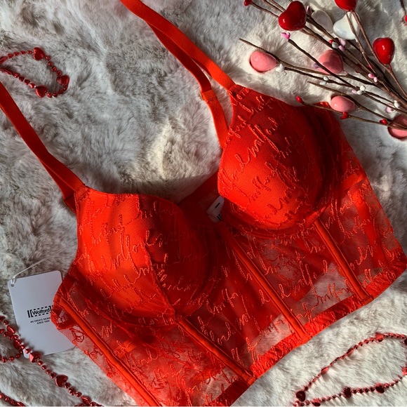 Wolford Other - Wolford 36B Sexy Dainty Lace Corset Bra❤️💕💗